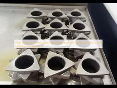 Υψηλή αντοχή στη διάβρωση Τμήματα διπλής βίδες για εξωτερικούς εξοπλισμούς Τμήματα βίδες για εξωτερικούς εξοπλισμούς για το TEX54